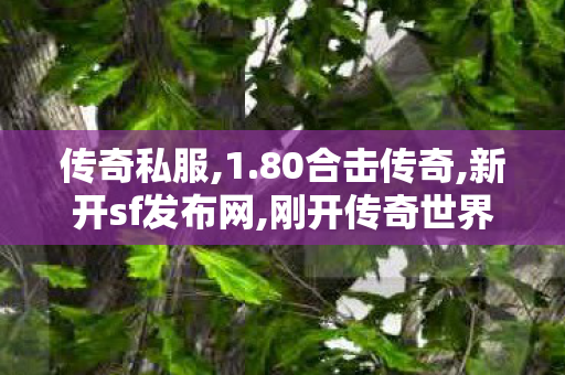 传奇私服,1.80合击传奇,新开sf发布网,刚开传奇世界私服,新开sf发布网
