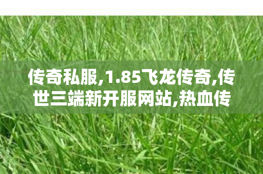 传奇私服,1.85飞龙传奇,传世三端新开服网站,热血传奇新开私服,传世三端新开服网站