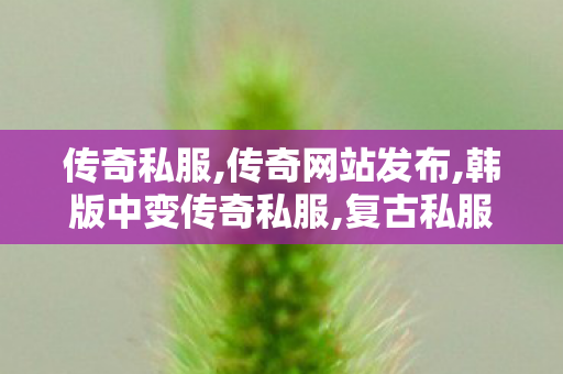 传奇私服,传奇网站发布,韩版中变传奇私服,复古私服,韩版中变传奇私服