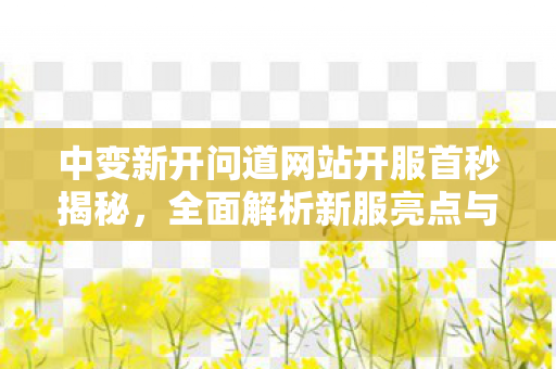中变新开问道网站开服首秒揭秘，全面解析新服亮点与玩法