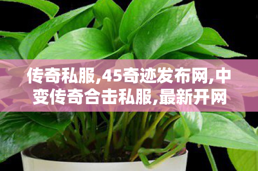 传奇私服,45奇迹发布网,中变传奇合击私服,最新开网通传奇私服,中变传奇合击私服