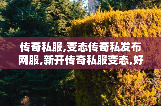 传奇私服,变态传奇私发布网服,新开传奇私服变态,好私服发布网,新开传奇私服变态