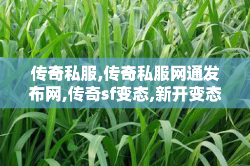 传奇私服,传奇私服网通发布网,传奇sf变态,新开变态传奇世界私服,传奇sf变态
