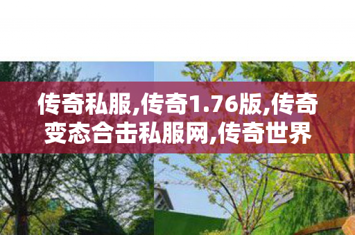 传奇私服,传奇1.76版,传奇变态合击私服网,传奇世界挖宝,传奇变态合击私服网