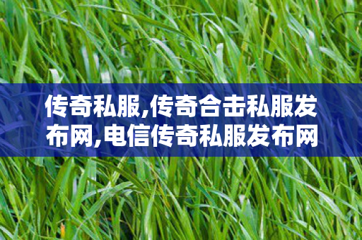 传奇私服,传奇合击私服发布网,电信传奇私服发布网站,1.76传奇sf网站,电信传奇私服发布网站