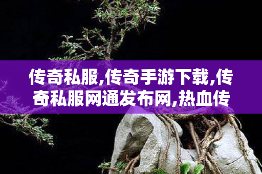 传奇私服,传奇手游下载,传奇私服网通发布网,热血传奇手游火墙强化,传奇私服网通发布网