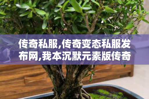 传奇私服,传奇变态私服发布网,我本沉默元素版传奇,找服网sf,我本沉默元素版传奇