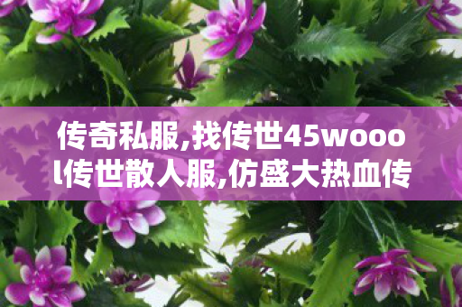 传奇私服,找传世45woool传世散人服,仿盛大热血传奇私服,100%仿盛大,仿盛大热血传奇私服
