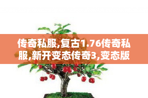 传奇私服,复古1.76传奇私服,新开变态传奇3,变态版传奇,新开变态传奇3