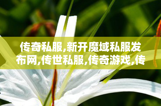 传奇私服,新开魔域私服发布网,传世私服,传奇游戏,传世私服