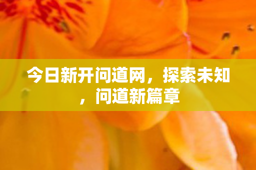 今日新开问道网，探索未知，问道新篇章