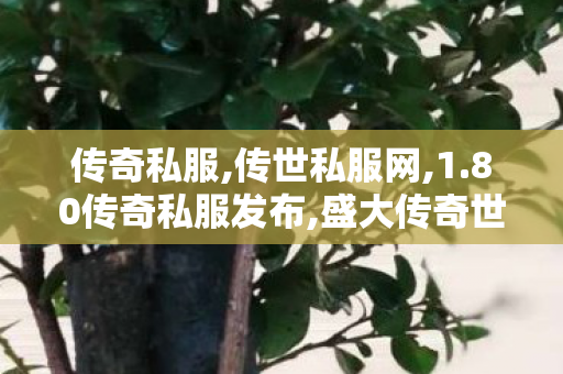 传奇私服,传世私服网,1.80传奇私服发布,盛大传奇世界,1.80传奇私服发布
