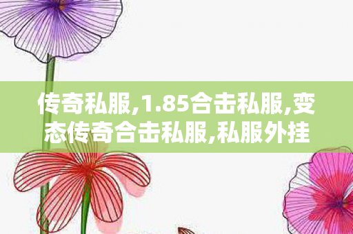 传奇私服,1.85合击私服,变态传奇合击私服,私服外挂,变态传奇合击私服