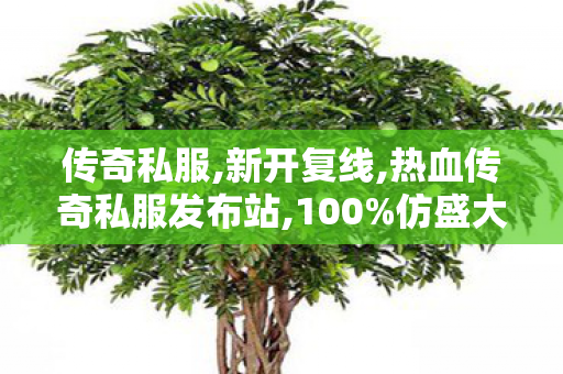 传奇私服,新开复线,热血传奇私服发布站,100%仿盛大传奇,热血传奇私服发布站