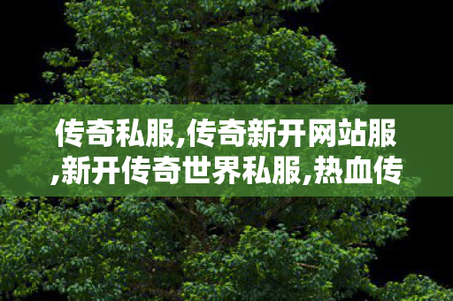 传奇私服,传奇新开网站服,新开传奇世界私服,热血传奇无英雄,新开传奇世界私服