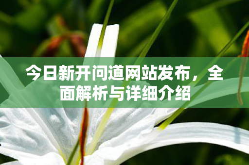 今日新开问道网站发布，全面解析与详细介绍