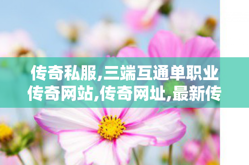 传奇私服,三端互通单职业传奇网站,传奇网址,最新传奇sf网站,传奇网址