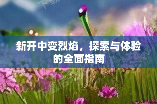 新开中变烈焰，探索与体验的全面指南