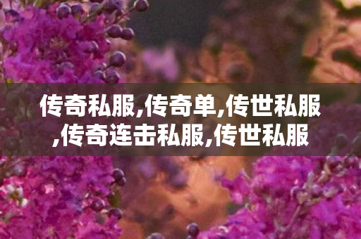 传奇私服,传奇单,传世私服,传奇连击私服,传世私服