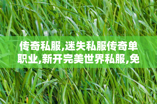 传奇私服,迷失私服传奇单职业,新开完美世界私服,免费传奇私服,新开完美世界私服