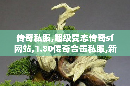 传奇私服,超级变态传奇sf网站,1.80传奇合击私服,新开传世私服网,1.80传奇合击私服