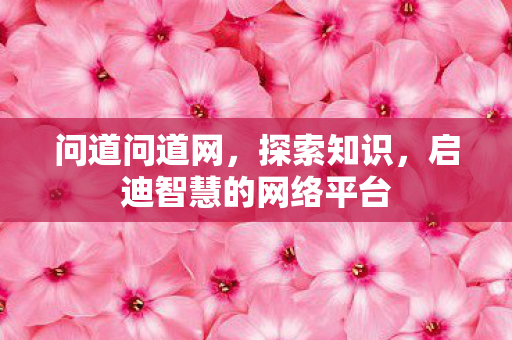 问道问道网，探索知识，启迪智慧的网络平台