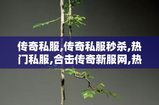 传奇私服,传奇私服秒杀,热门私服,合击传奇新服网,热门私服