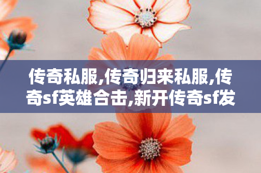 传奇私服,传奇归来私服,传奇sf英雄合击,新开传奇sf发布网站,传奇sf英雄合击