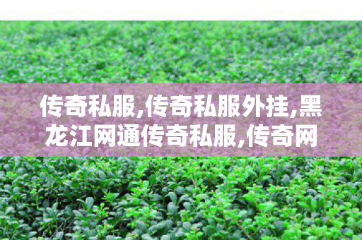 传奇私服,传奇私服外挂,黑龙江网通传奇私服,传奇网址,黑龙江网通传奇私服