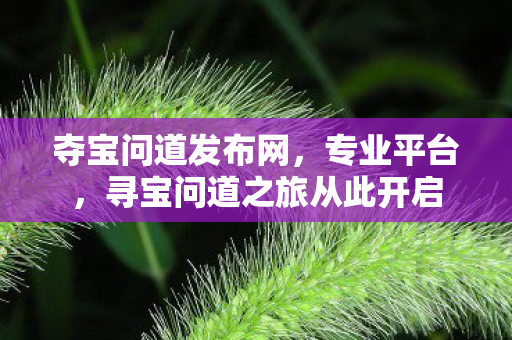 夺宝问道发布网，专业平台，寻宝问道之旅从此开启