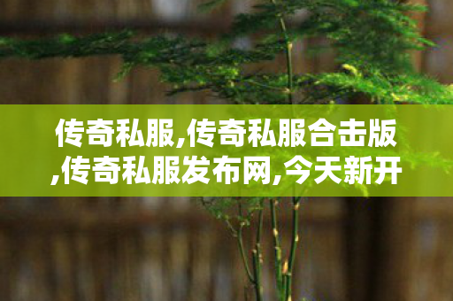 传奇私服,传奇私服合击版,传奇私服发布网,今天新开传奇999网站,传奇私服发布网