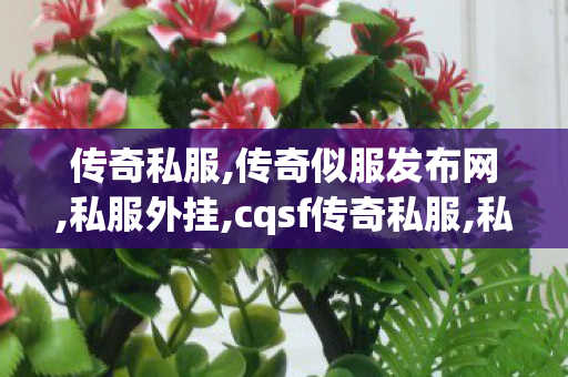 传奇私服,传奇似服发布网,私服外挂,cqsf传奇私服,私服外挂