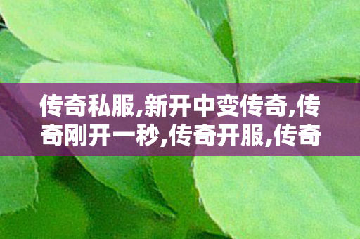 传奇私服,新开中变传奇,传奇刚开一秒,传奇开服,传奇刚开一秒