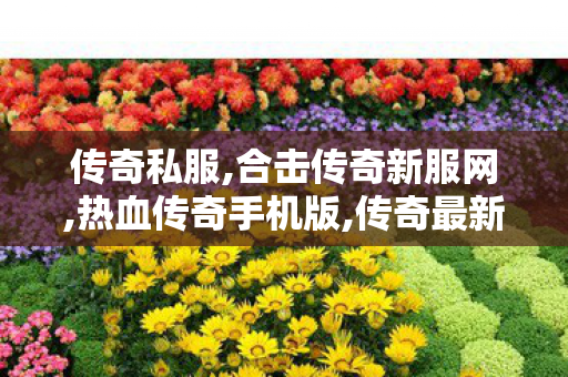 传奇私服,合击传奇新服网,热血传奇手机版,传奇最新私服,热血传奇手机版