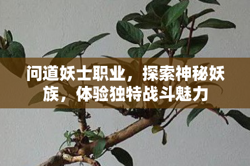 问道妖士职业，探索神秘妖族，体验独特战斗魅力
