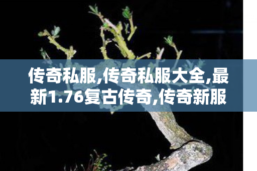 传奇私服,传奇私服大全,最新1.76复古传奇,传奇新服,最新1.76复古传奇