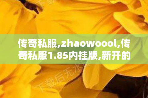 传奇私服,zhaowoool,传奇私服1.85内挂版,新开的传奇,传奇私服1.85内挂版