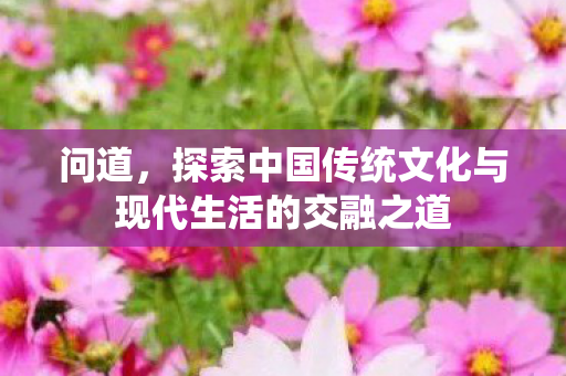 问道，探索中国传统文化与现代生活的交融之道