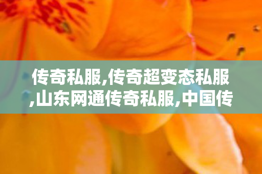 传奇私服,传奇超变态私服,山东网通传奇私服,中国传奇私服,山东网通传奇私服