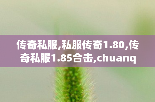 传奇私服,私服传奇1.80,传奇私服1.85合击,chuanqi,传奇私服1.85合击