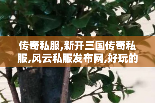 传奇私服,新开三国传奇私服,风云私服发布网,好玩的私服传奇,风云私服发布网