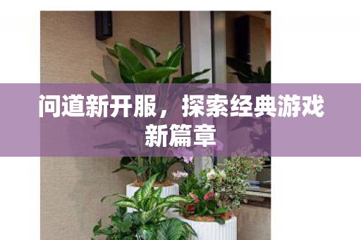 问道新开服，探索经典游戏新篇章