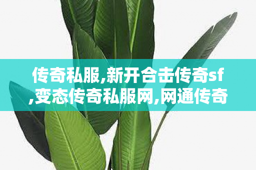 传奇私服,新开合击传奇sf,变态传奇私服网,网通传奇sf,变态传奇私服网