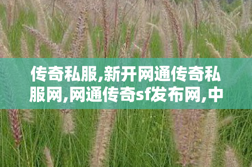 传奇私服,新开网通传奇私服网,网通传奇sf发布网,中变复古传奇私服,网通传奇sf发布网