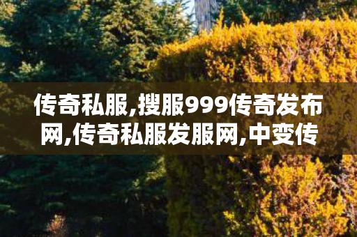 传奇私服,搜服999传奇发布网,传奇私服发服网,中变传奇私服发布网,传奇私服发服网