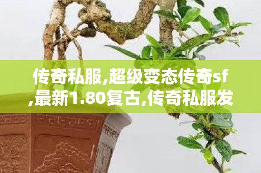 传奇私服,超级变态传奇sf,最新1.80复古,传奇私服发服网,最新1.80复古