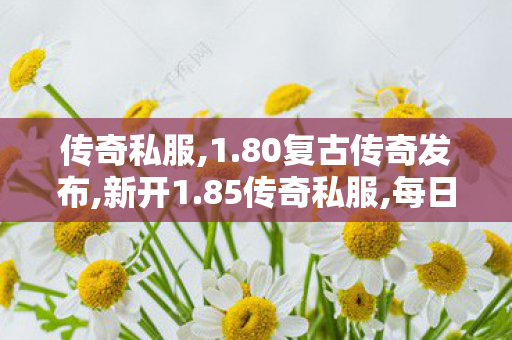 传奇私服,1.80复古传奇发布,新开1.85传奇私服,每日新开传奇私服,新开1.85传奇私服