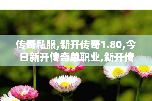 传奇私服,新开传奇1.80,今日新开传奇单职业,新开传奇私服一区,今日新开传奇单职业