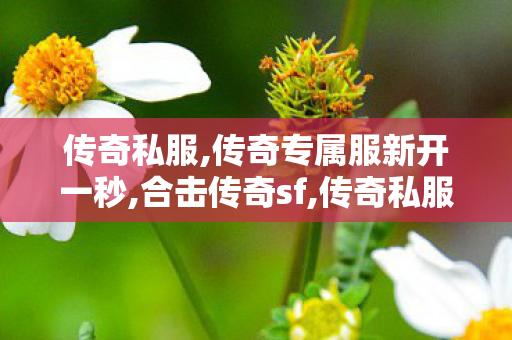 传奇私服,传奇专属服新开一秒,合击传奇sf,传奇私服新开网站,合击传奇sf