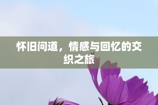 怀旧问道，情感与回忆的交织之旅